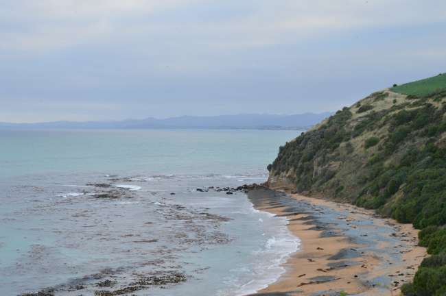 Dunedin, Omarama, and the Clay Cliffs