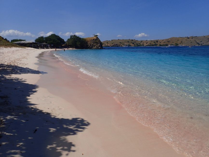 Indonesia - Flores - Komodo NP - Pink Beach