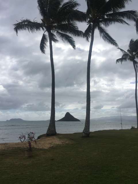 3.-8. Day Hawaii 🏝