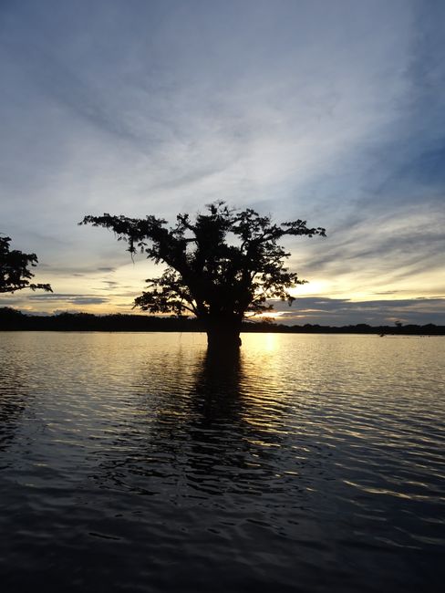 Cuyabeno Lagune bei Sonnenuntergang