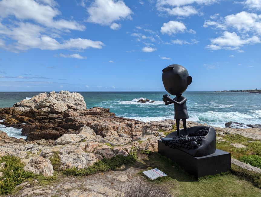 Hermanus / Cliff Path und die eigentliche "Walhauptstadt" Gansbaai