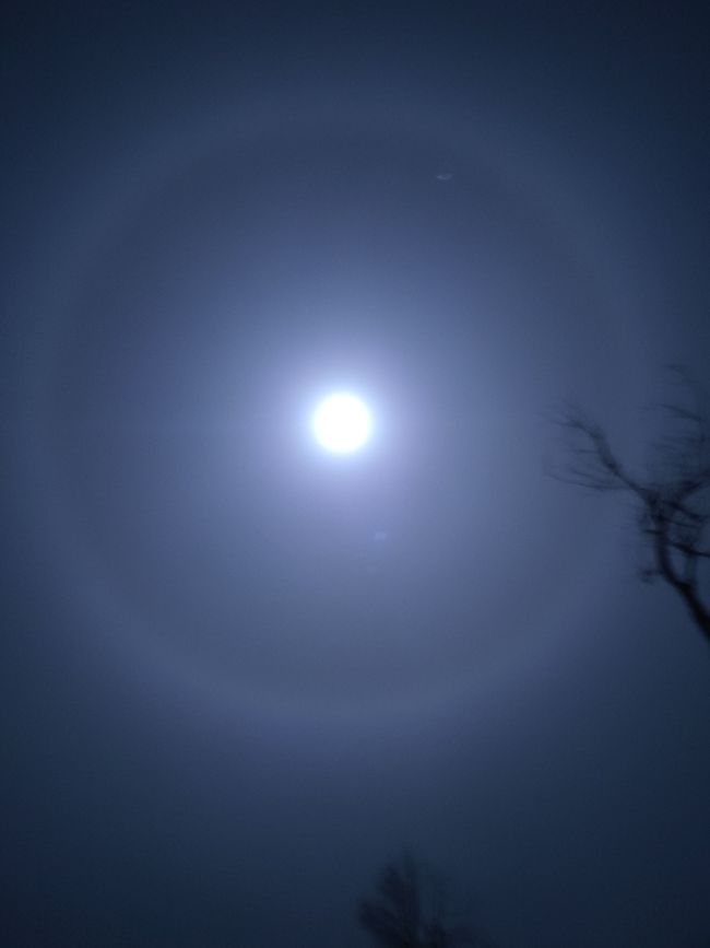 Perfect circle around the moon.