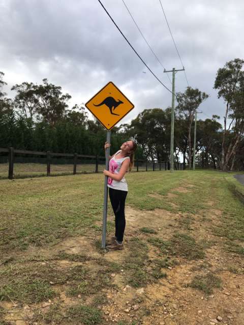 Kangaroos crossing!