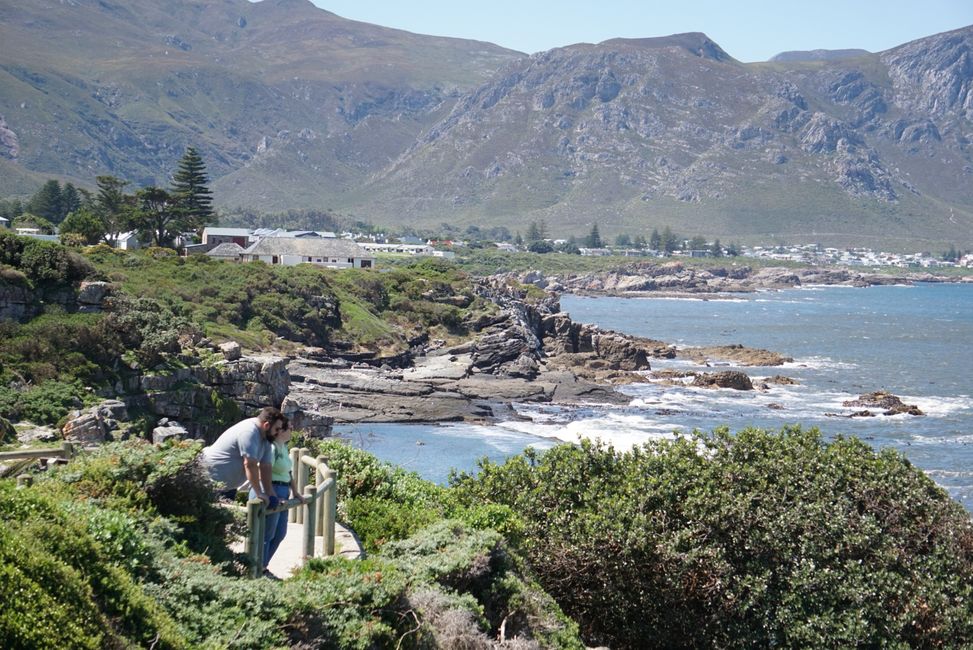Hermanus ♥️
