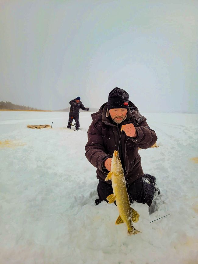 Luleå 7 de febrero de 2022