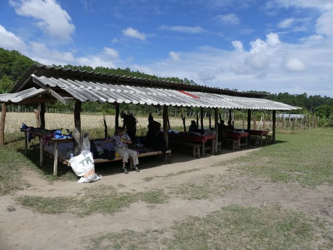 The food is served under a makeshift metal roof