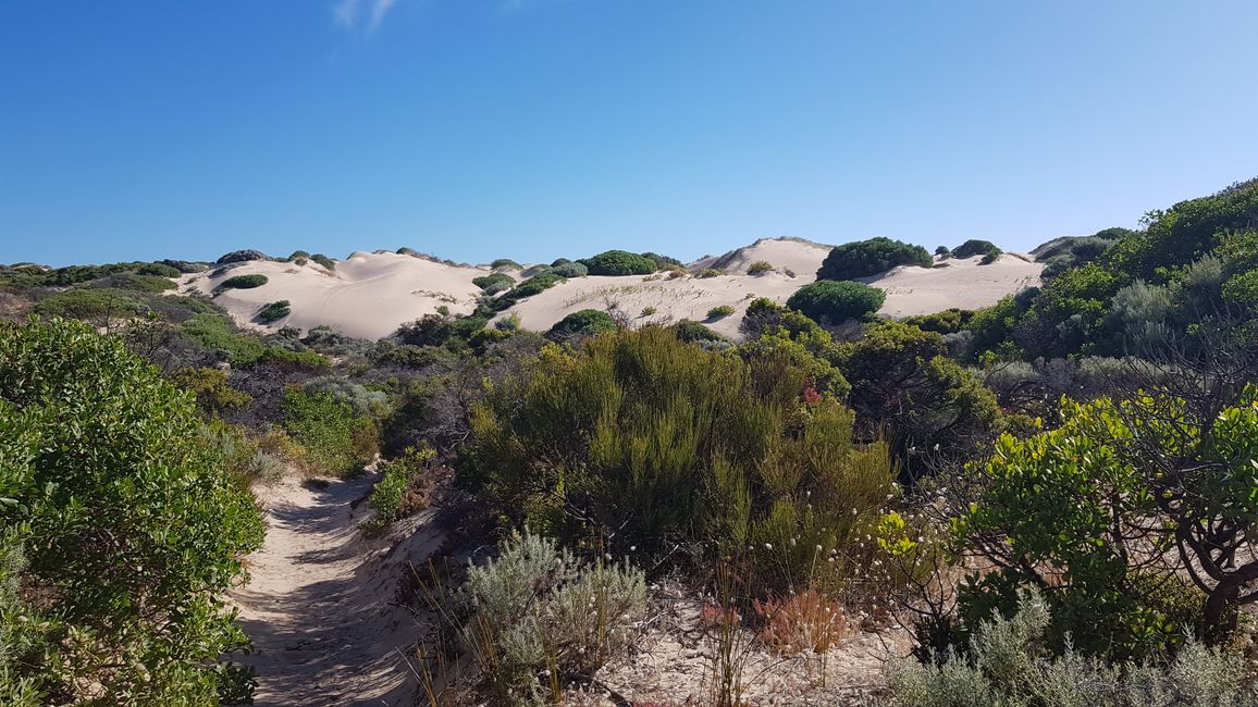 dune hike