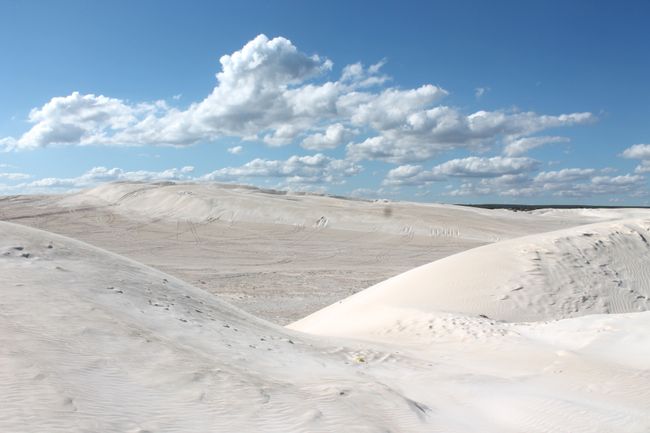 25.05.2015 Lancelin, Sand dunes