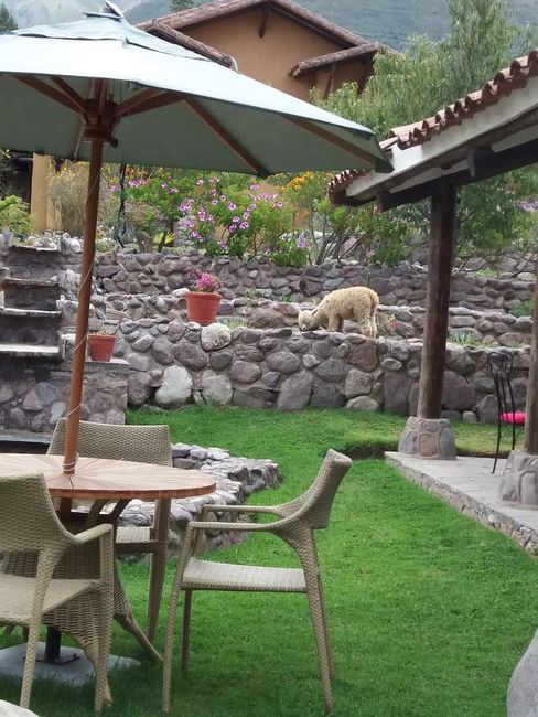 A paradise in the Sacred Valley