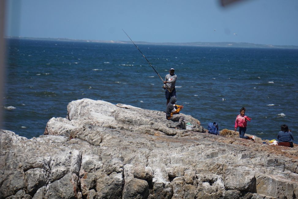 Hermanus ♥️