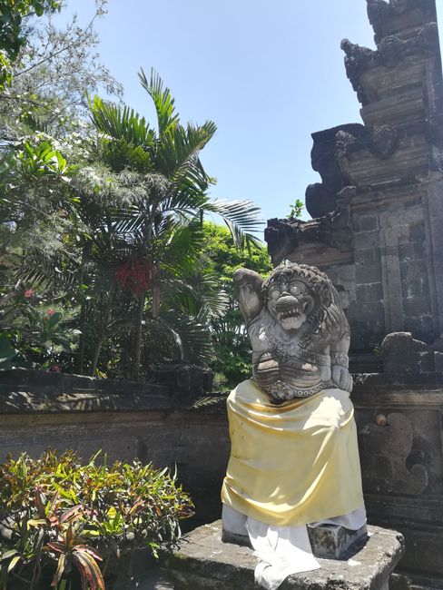 Bali - Canggu