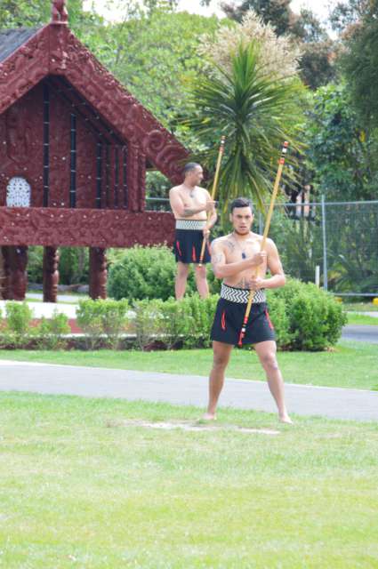 Te Puia - Vapeur de geyser, culture Maori et un kiwi vivant