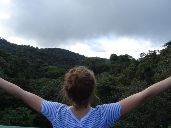 Hanging Bridges Monteverde National Park
