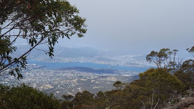 Hobart vom Mount Wellington 
