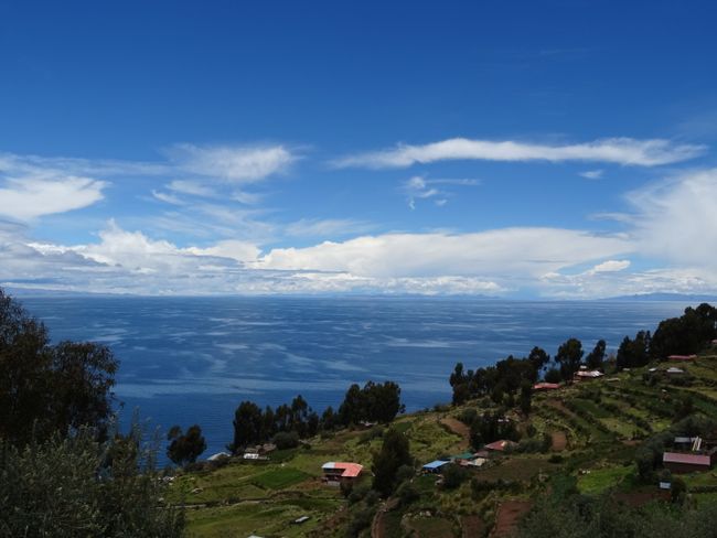 Blue, bluer, Lake Titicaca. The impression is deceptive because the water pollution due to adjacent cities is immense!