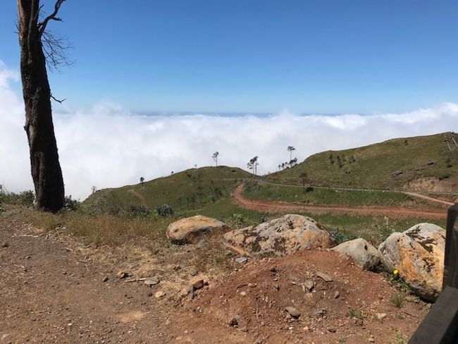 Über den Wolken, darunter liegt Funchal