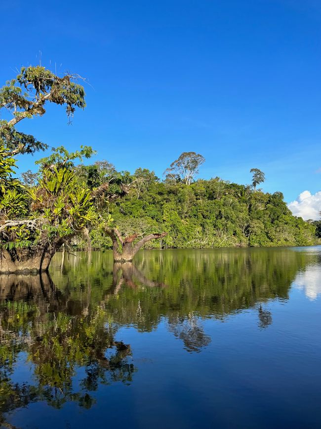 Cuyabeno-Amazonas