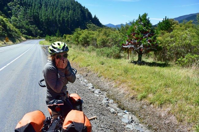 Motueka - Picton: the final days on the South Island of New Zealand