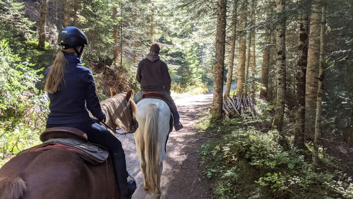 Tag 5: Horseback Riding & the Unplanned Adventure Hike