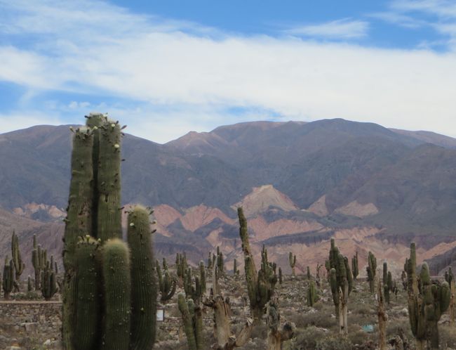 Salta, Cafayate und die Regenbogenfelsen