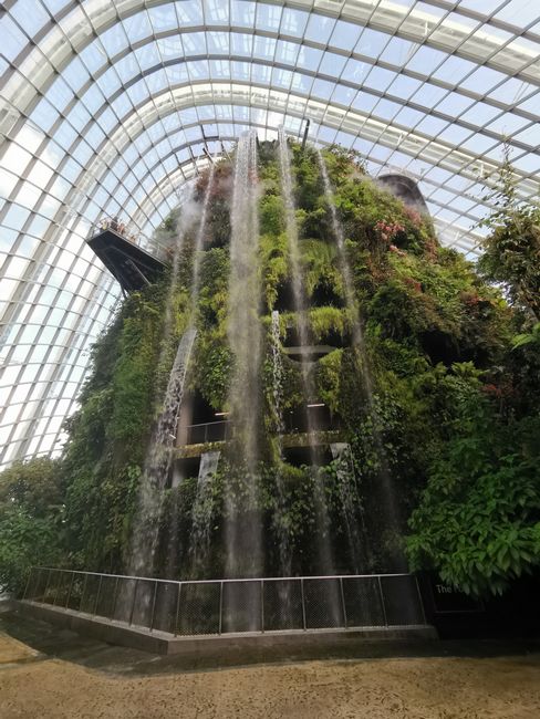 Cloud Forest Dome