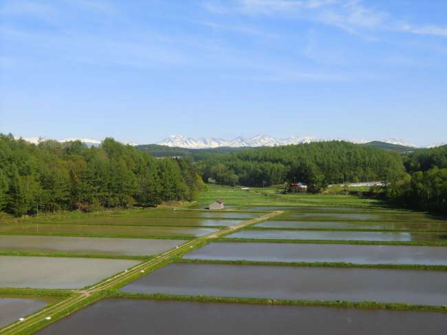Bergpanorama mit Reisfeldern davor...Idylle auf  Japanisch.
