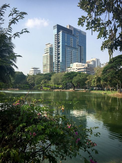 Bangkok - Lumphini Park