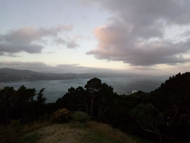 View from Mt Victoria (360°)