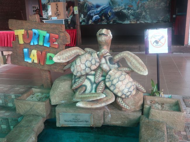 Schildkröten im Penang National Park <33  (Tag 129 der Weltreise
