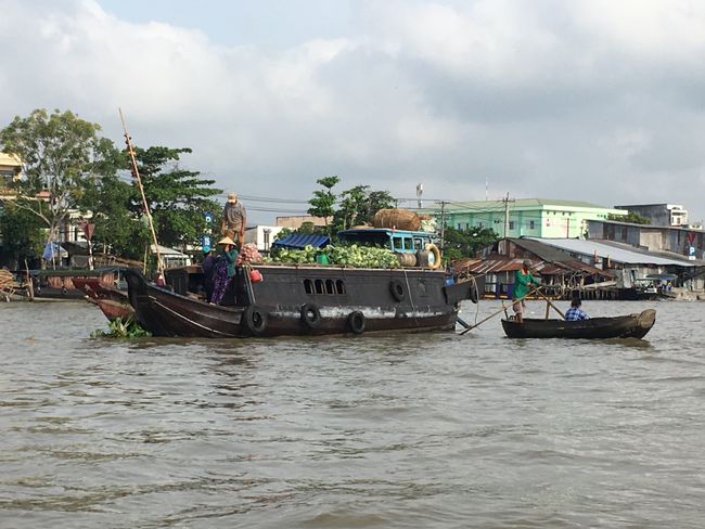 Floating Market, Can Tho
