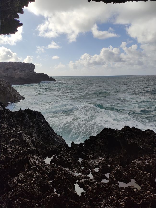 First day in Barbados: Animal Flower Cave, Speightstown, Port St. Charles, Sunset Point, Dinner on the beach