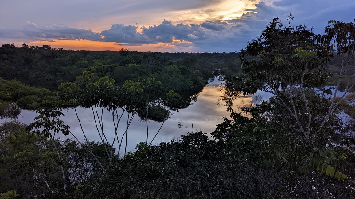 2. Día en la selva amazónica