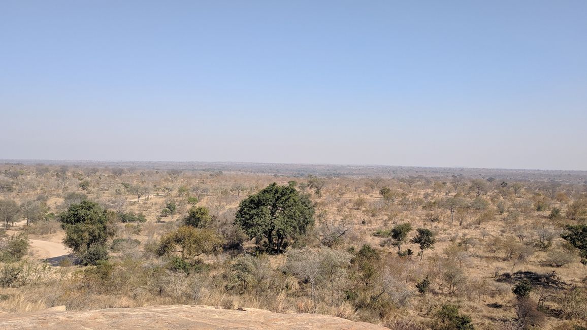 Day 14: On the road in Kruger National Park