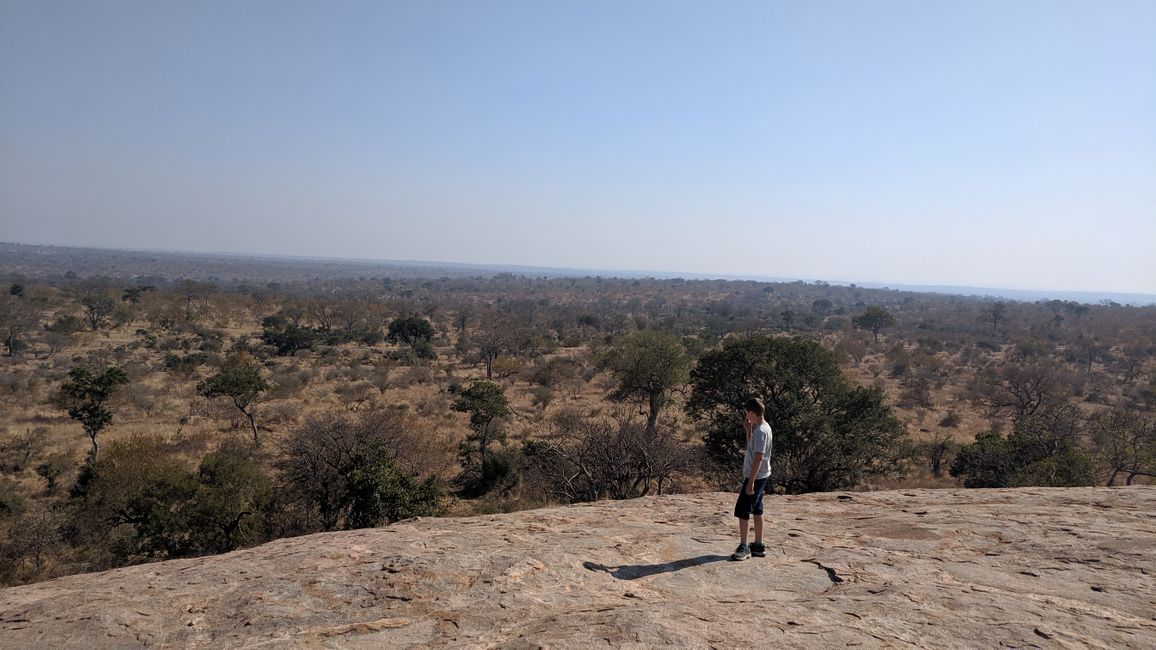 Day 14: On the road in Kruger National Park