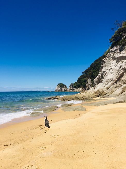 16|01|19, The Abel Tasman National Park and the most beautiful beaches I have ever seen