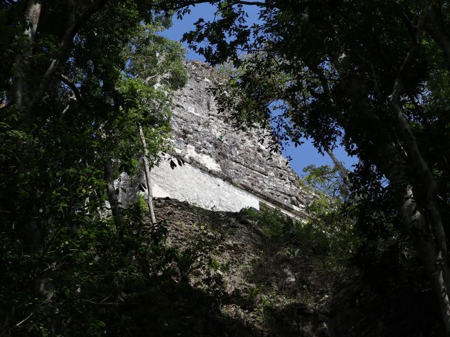 Tikal - Eine Maya-Ruine umgeben von Dschungel :O   (Tag 186 der Weltreise)
