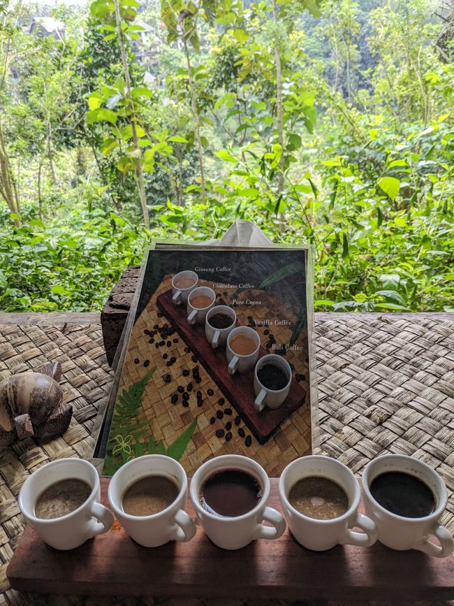 Trying different coffee varieties