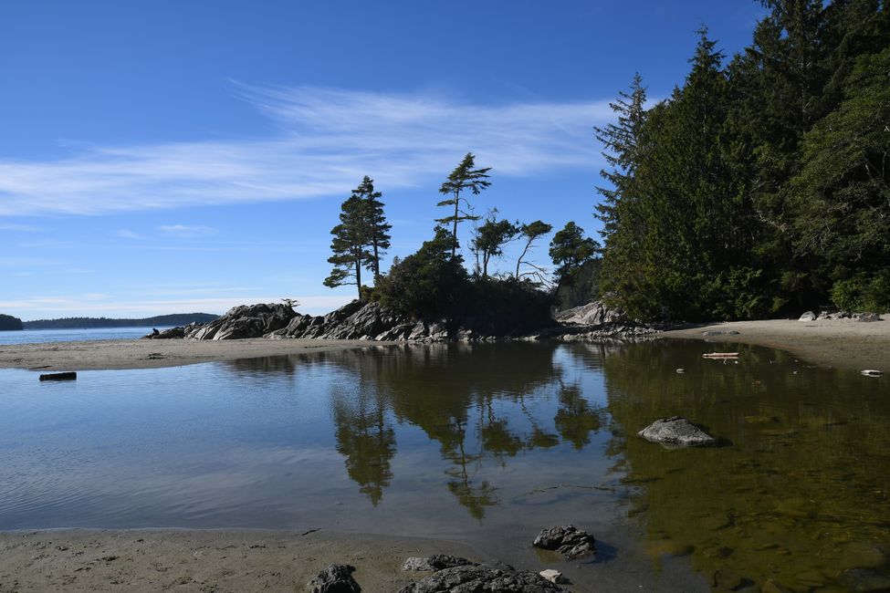 Beach in Pacific Rim National Park Reserve