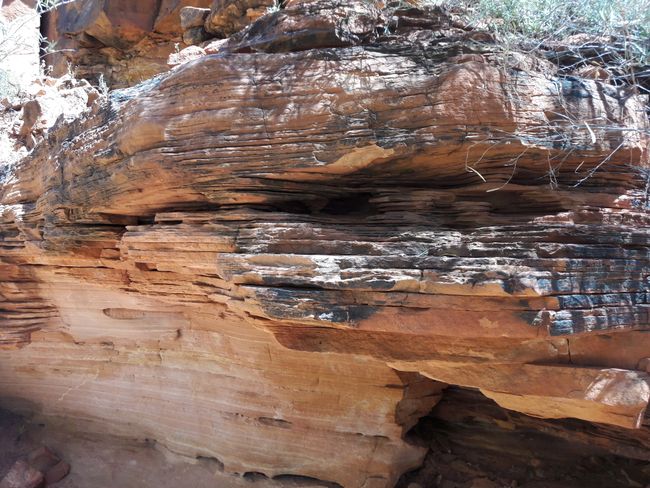 Kings Canyon 