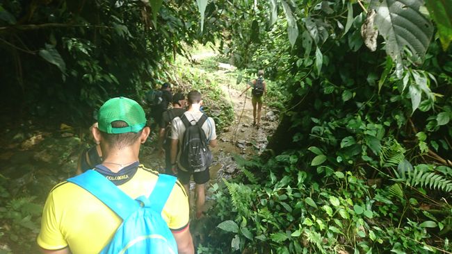 Hiking through the Colombian jungle