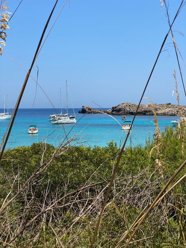 Cala — Hüpfen