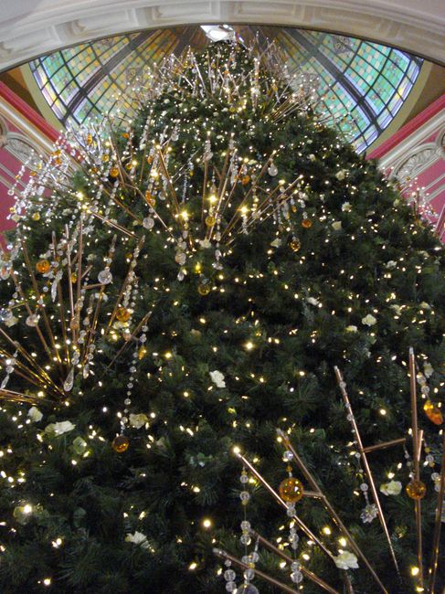 Christmas tree at Queen Victoria Building