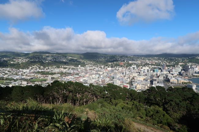 Wellington from the lookout plateau.