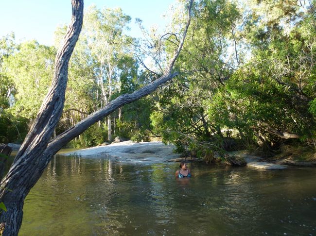 Davies Creek NP - Chillen im Bach zwischen Fischen, Schildkröten und Wasserschlangen