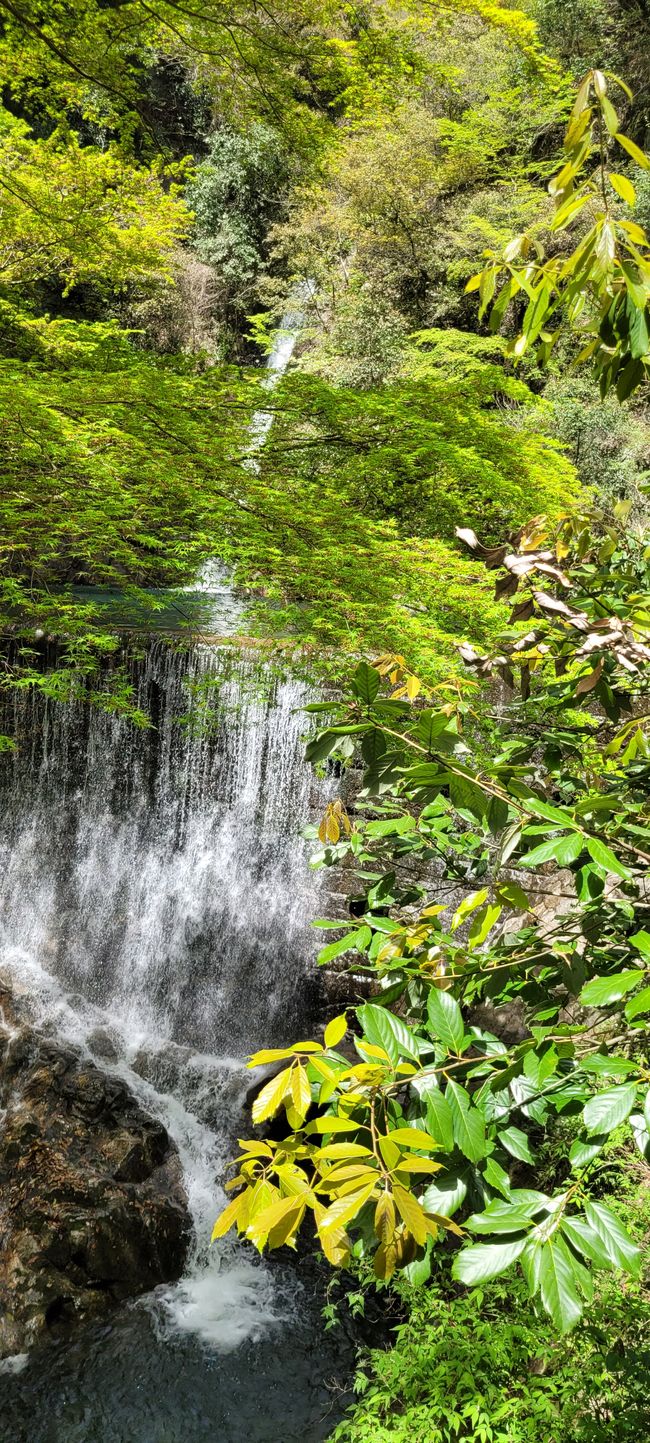 Nibuku Wasserfall 