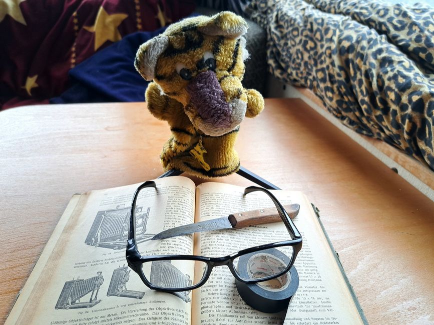 Der kleine Tiger begutachtet die reparierte Brille.
