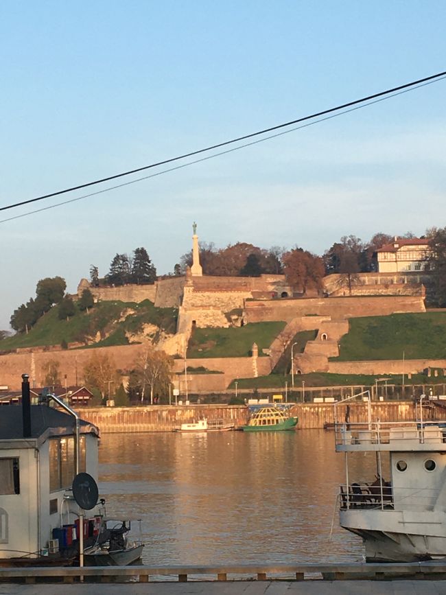 Blick auf die Festung an der Mündung der Sava in die Donau