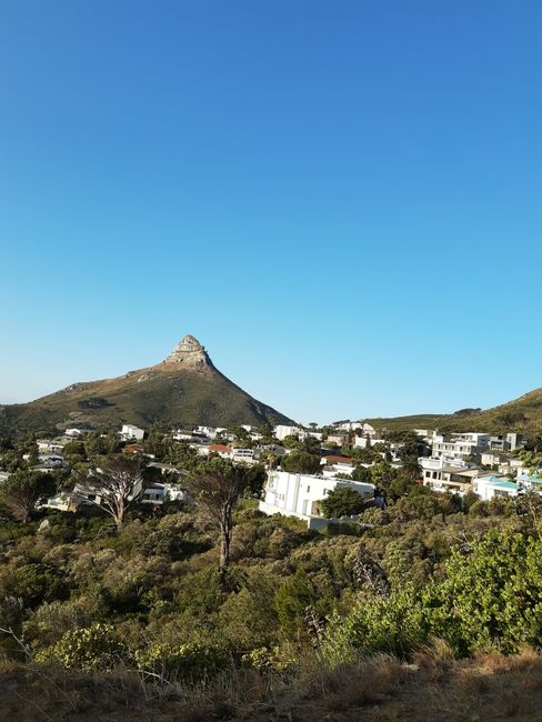 Dag 15/16 - Cape Town