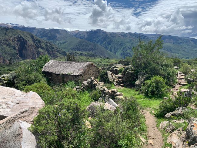Bewohntes Inca-Haus im Canyon