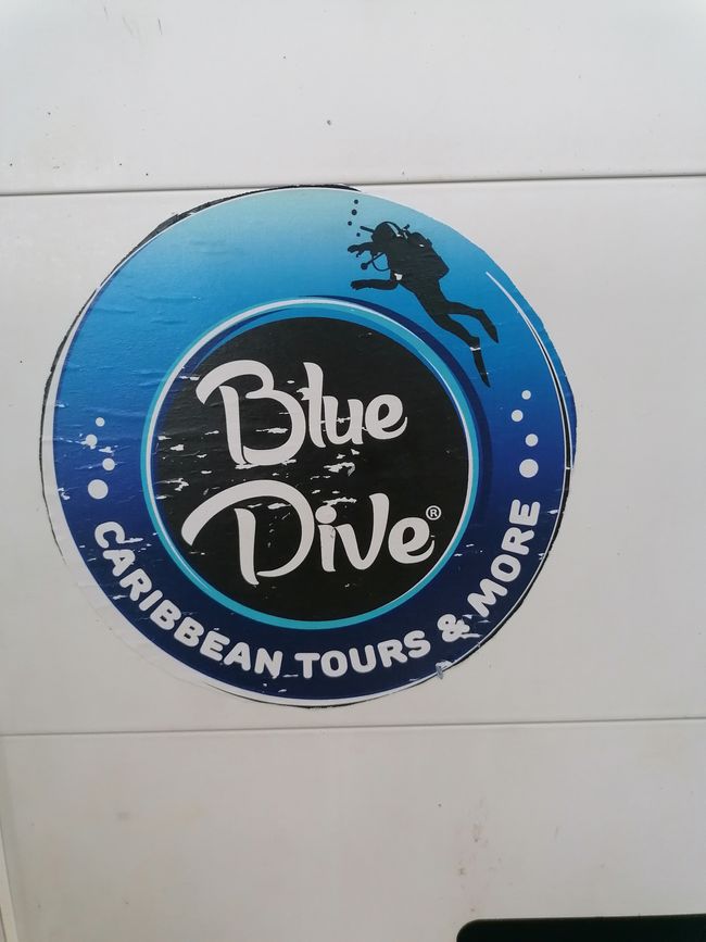 Day 25: Diving Trip in the Caribbean
